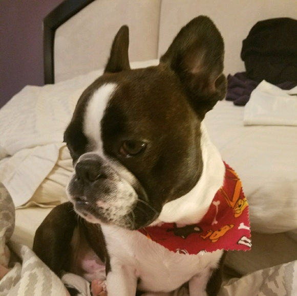 Meet your Posher, Elisa - Picture 1 of 1